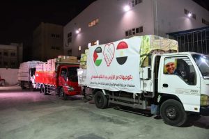 وزيرة الصحة إرسال 65 طنًا من الأدوية والمستلزمات الطبية لدعم الأشقاء الفلسطينين بقطاع غزة