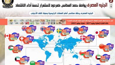 بالإنفوجراف... بعد مرور أكثر من 4 سنوات على تحرير سعر الصرف