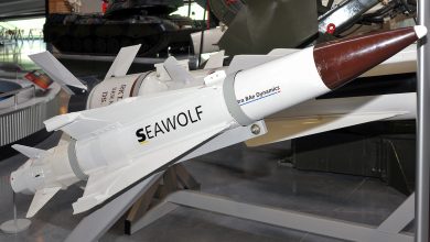 البحرية المصرية وصواريخ MBDA و Sea Wolf