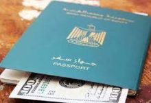 وحدة منح الجنسيات